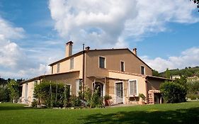 Danilo San Casciano Dei Bagni